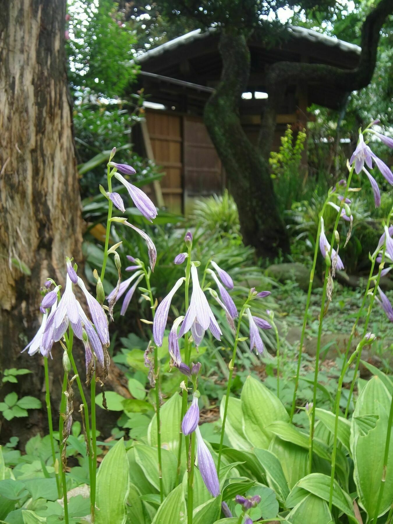 Maison d'hôtes Mokkoan 2*